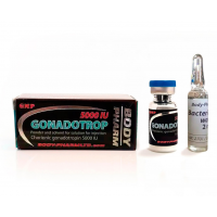 BodyPharm Gonadotrop 5000IU BodyPharm Gonadotrop 5000IU