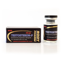 BodyPharm Testosteron P 50 BodyPharm Testosteron P 50