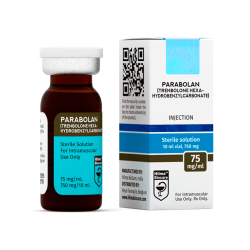 Hilma Parabolan Hilma Parabolan
