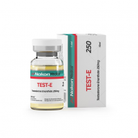Nakon Test E 250