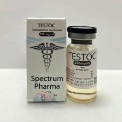 Testoc US Testoc US